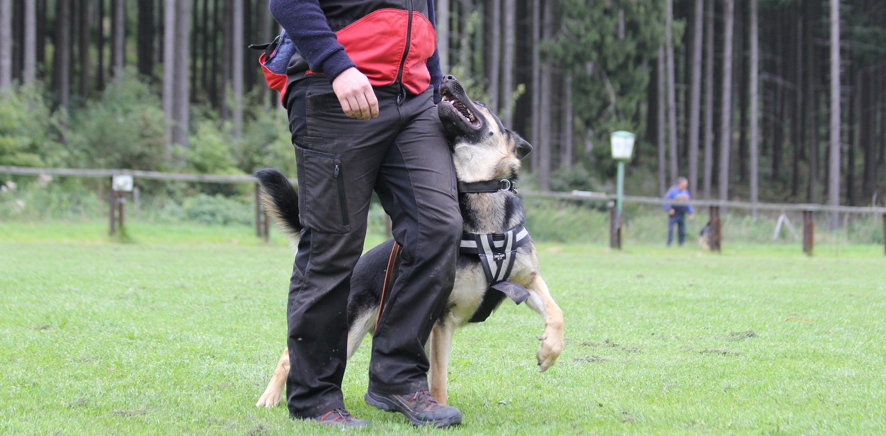 http://xn--von-den-hochwaldwlfen-xec.de/wp-content/uploads/2016/09/IMG_3551.jpg